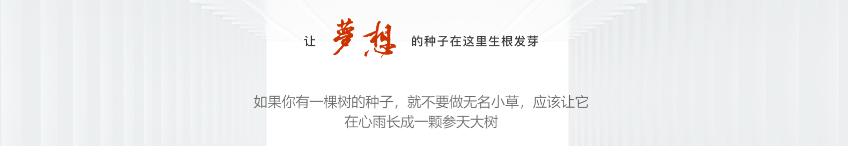 一春一夏APP网站小程序开发公司