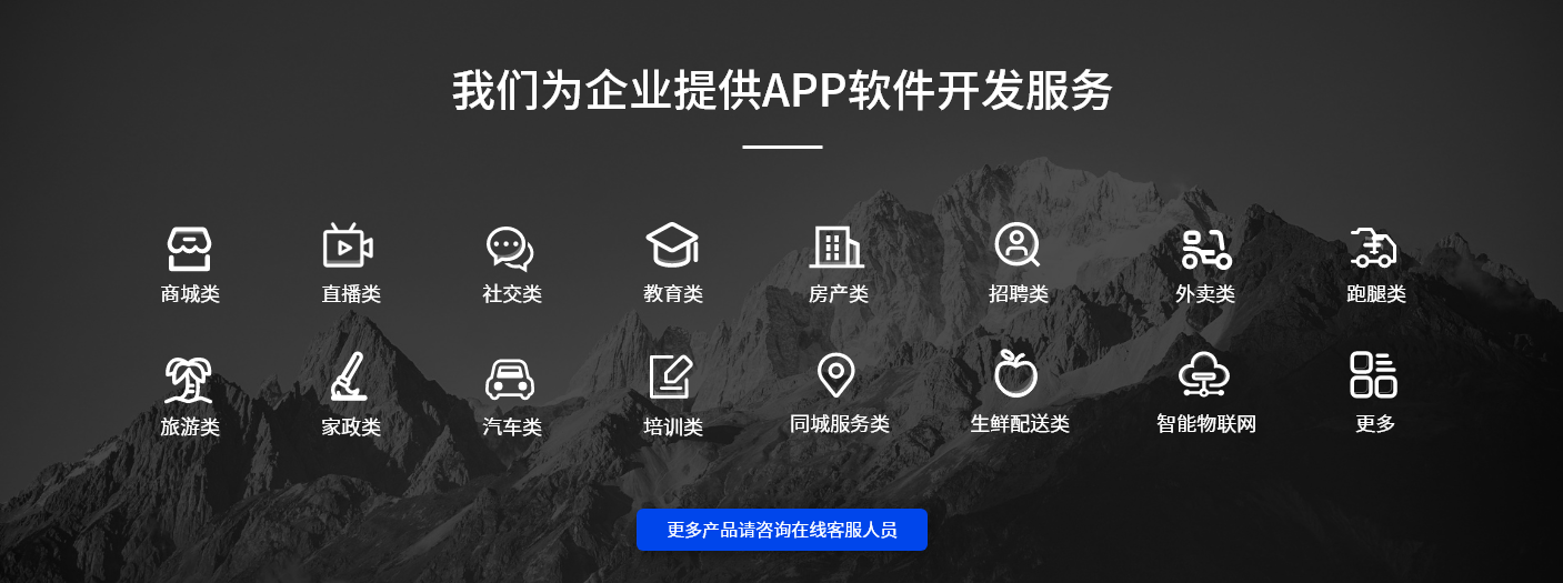 APP软件开发公司