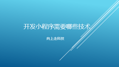 开发小程序需要哪些技术