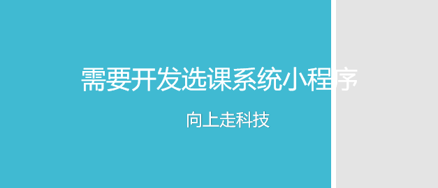 需要开发选课系统小程序